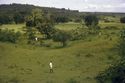 Thumbnail of Sirikwa hollow, very large example: Kablong (near Chemagel, Sotik)