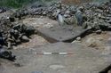 Thumbnail of Area A: SH2, Muringa