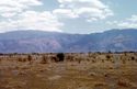 Thumbnail of Rift Escarpment, Engaruka Gorge 1972