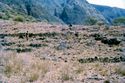 Thumbnail of Feild terraces