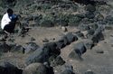 Thumbnail of S fields, stone-divided fields and feeder furrows image 4