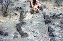 Thumbnail of S fields, stone-divided fields and feeder furrows image 5