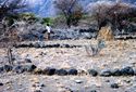 Thumbnail of Stone embankment of raised canal
