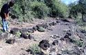 Thumbnail of Escarpment canal sluice