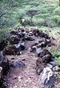 Thumbnail of Raised embankment