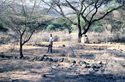 Thumbnail of Lolchoro fields