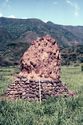 Thumbnail of The Cairns
