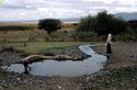 Thumbnail of Enguroto spring in 1984