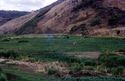 Thumbnail of Oldonyo Sambu village Irrigated fields in valley