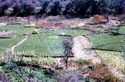 Thumbnail of Kisangiro, Irrigated fields in basin
