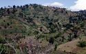 Thumbnail of Chesoi