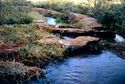 Thumbnail of Furrow crossing