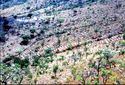 Thumbnail of Mt. Melloray terraces