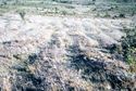 Thumbnail of Udu valley image 1