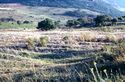 Thumbnail of Udu valley image 2