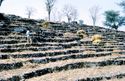 Thumbnail of Tula