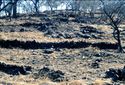 Thumbnail of Nuba Hills