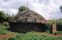 Thumbnail of Kipsigis south, Chepalungu