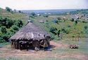 Thumbnail of Chebororwa house