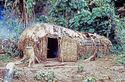 Thumbnail of Okiek, Mau forest: house