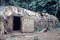 Thumbnail of Okiek, Mau forest: house (close up)