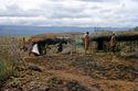 Thumbnail of A settlement in Oldonyo Nyuki