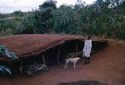 Thumbnail of Semi-subterranean tembe house with person and dog