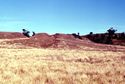 Thumbnail of Kimba valley