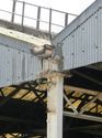 Thumbnail of General View of the Long Stabling Shed