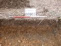 Thumbnail of Photo P1000189 Trench 9 representative section