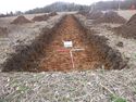 Thumbnail of Photo P1000199 Trench 10 W