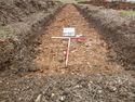 Thumbnail of Photo P1000258 Trench 15 E