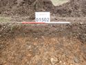 Thumbnail of Photo P1000262 Trench 14 representative section