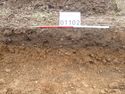 Thumbnail of Photo P1000268 Trench 11 representative section
