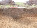 Thumbnail of Photo P1000275 Trench 16 no board
