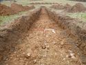 Thumbnail of Photo P1000279 Trench 17 N no board