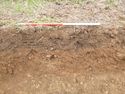 Thumbnail of Photo P1000290 Trench 18 representative section no board