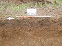 Thumbnail of Photo P1000291 Trench 18 representative section