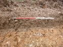 Thumbnail of Photo P1000316 Trench 20 representative section no board