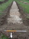 Thumbnail of Photo P1190028 Trench 99 S no board