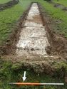 Thumbnail of Photo P1190043 Trench 111 S no board