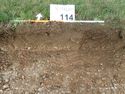 Thumbnail of Photo P1190057 Trench 114 representative section