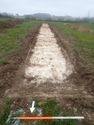 Thumbnail of Photo P1200060 Trench 122 S no board