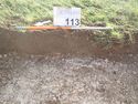 Thumbnail of Photo P1210095 Trench 113 representative section
