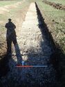 Thumbnail of Photo P1220114 Trench 101 N no board