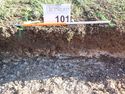 Thumbnail of Photo P1220115 Trench 101 representative section