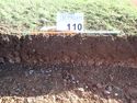 Thumbnail of Photo P1220127 Trench 110 representative section