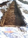 Thumbnail of Photo P1250130 Trench 85 S no board