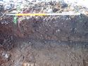 Thumbnail of Photo P1250134 Trench 85 representative section no board