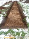 Thumbnail of Photo P1260145 Trench 116 S no  board